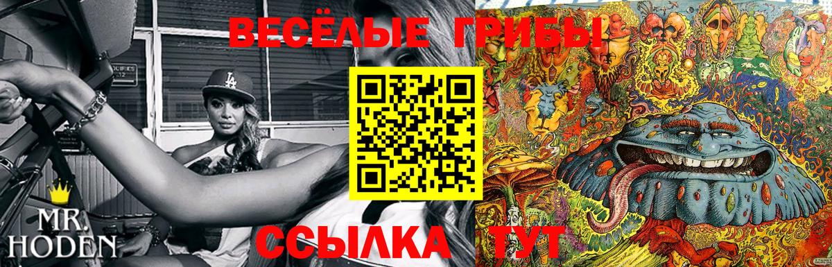 Галлюциногенные грибы Magic Shrooms Чистополь