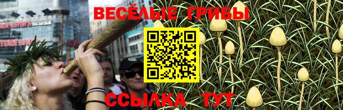 купить наркотики сайты  Галлюциногенные грибы Psilocybine cubensis  Вход с VPN  Чистополь 